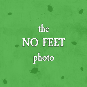 *PRE-ORDER* The Handbook and/or No Feet Photo Enamel Pin